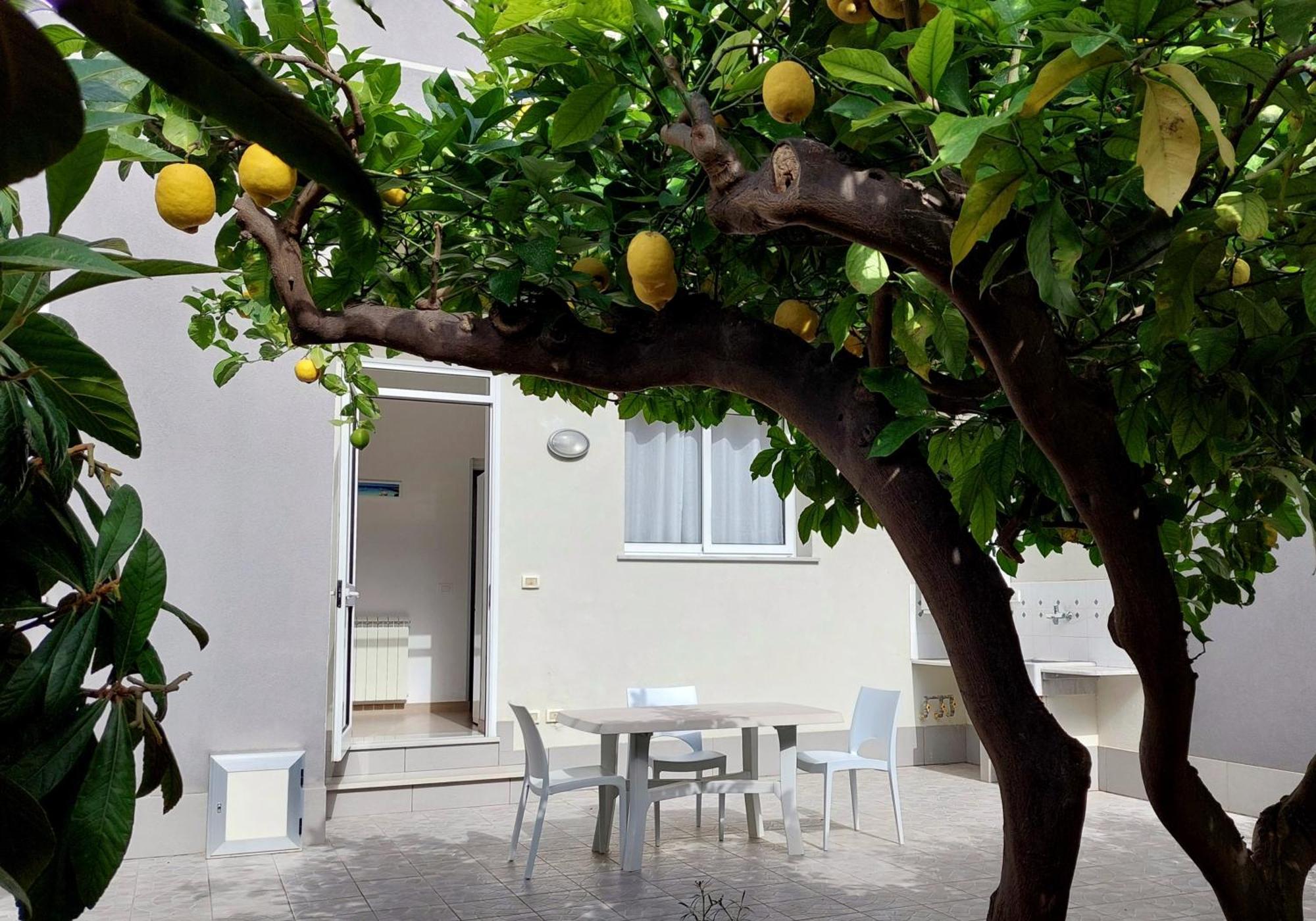 מלון טראפאני Casa Granata מראה חיצוני תמונה